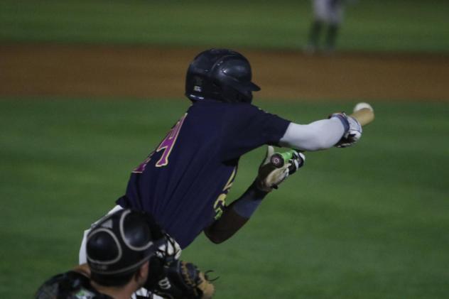 Viñeros de Tri-City's Osmy Gregorio in action