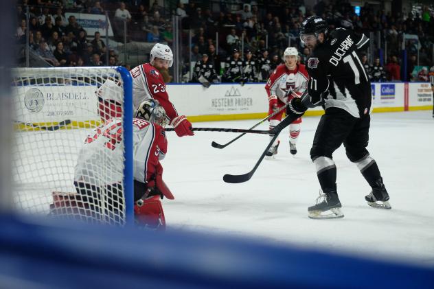 Allen Americans goaltender Kevin Mandolese faces a shot from the Idaho Steelheads