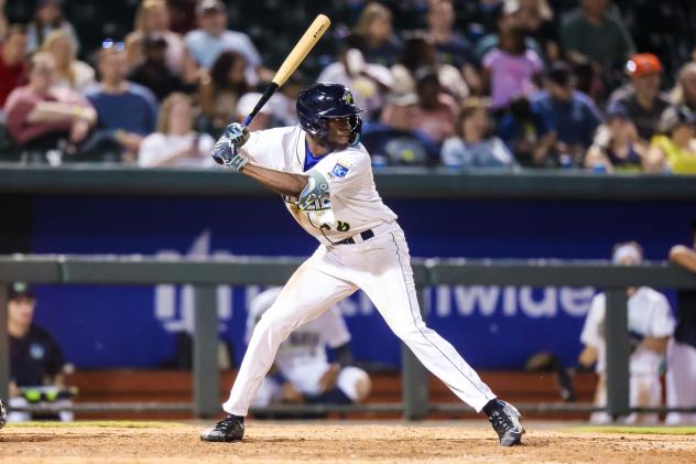 Columbia Fireflies' David Hollie at bat