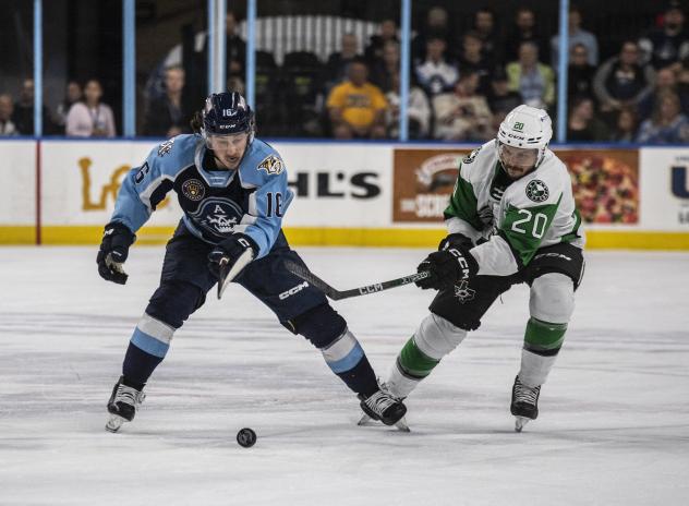 Milwaukee Admirals' Phil Tomasino battles Texas Stars' Tanner Kero