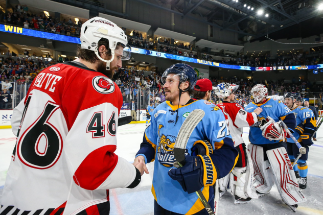 Cincinnati Cyclones' Justin Vaive congratulates the Toledo Walleye