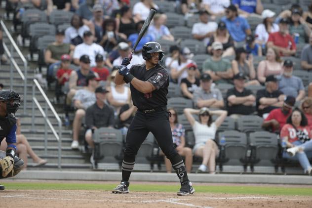 Fayetteville Woodpeckers at bat