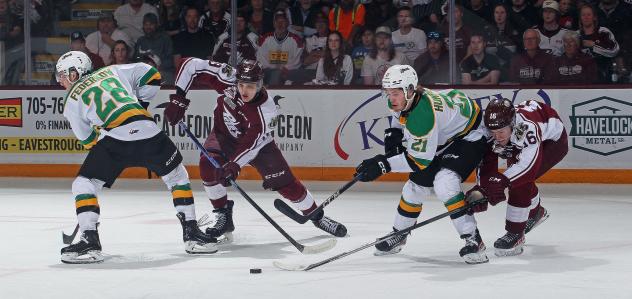 Peterborough Petes battle the London Knights