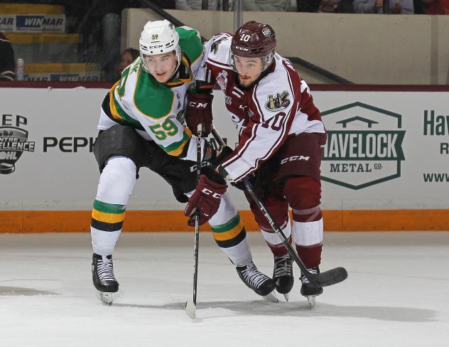 London Knights' Oliver Bonk versus Peterborough Petes' J.R. Avon
