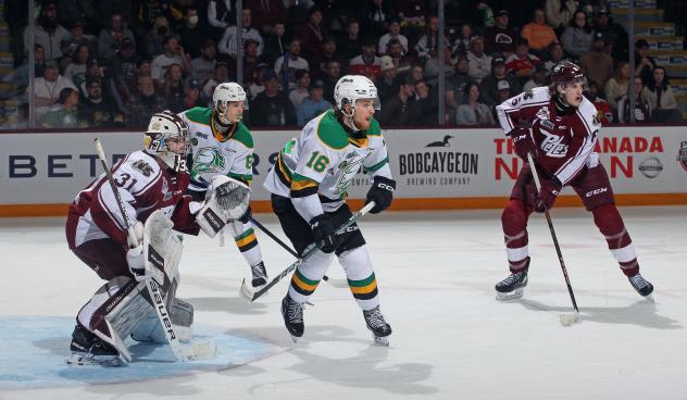 Peterborough Petes' Michael Simpson and London Knights' Sean McGurn in action