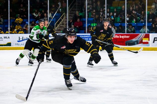Defender Logan Hammett with the Brandon Wheat Kings
