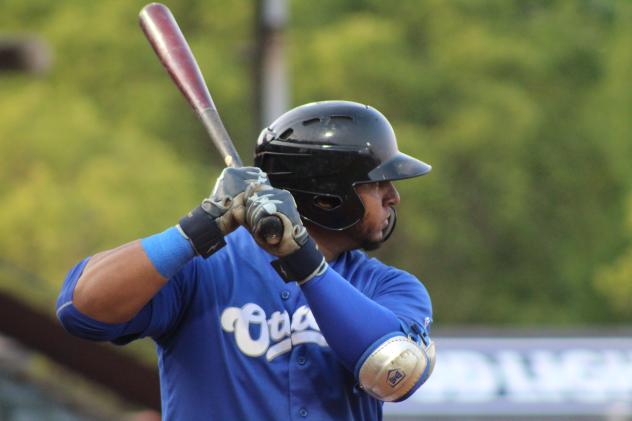 Evansville Otters at bat