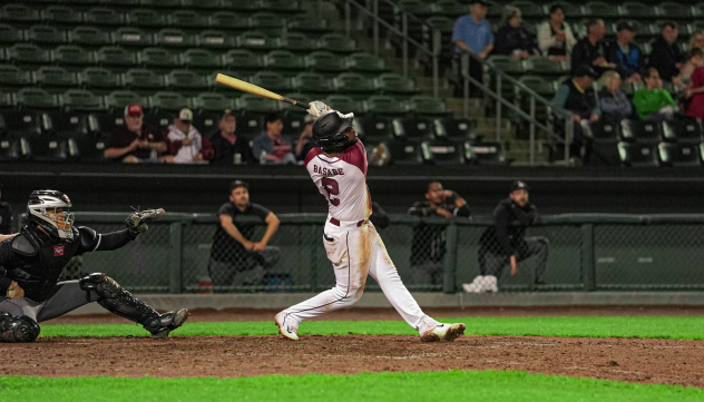 Kansas City Monarchs' Olivier Basabe at bat