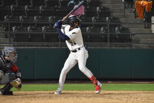 Tri-City Dust Devils' Osmy Gregorio at bat