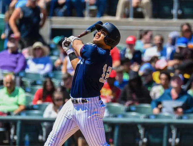 Somerset Patriots' Jasson Dominguez at bat