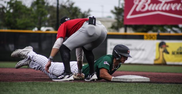 Mankato MoonDogs try to beat the tag