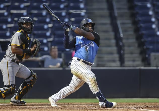 Tampa Tarpons' Christopher Familia at bat