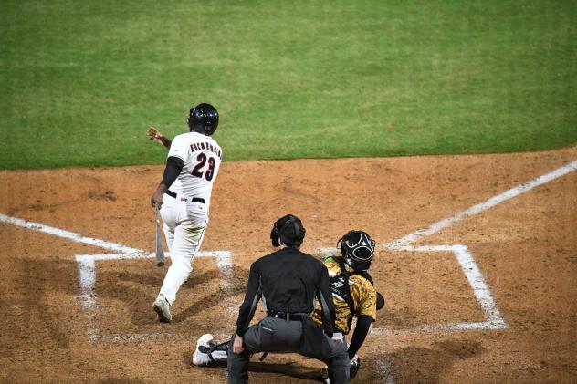 Fayetteville Woodpeckers' Luis Encarnacion at bat