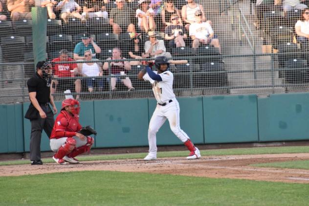 Tri-City Dust Devils' Alexander Ramirez at bat