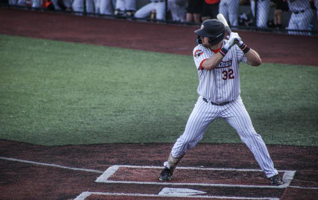 Mankato MoonDogs at bat