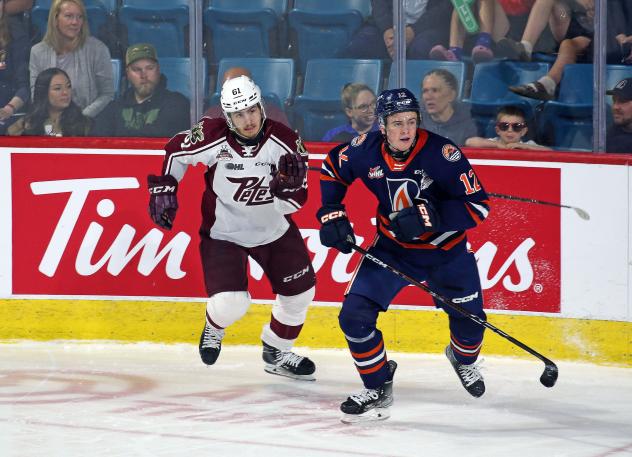 Peterborough Petes' Chase Stillman versus Kamloops Blazers' Ryan Michael