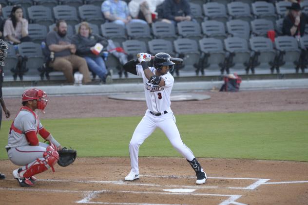 Fayetteville Woodpeckers' Narbe Cruz at bat