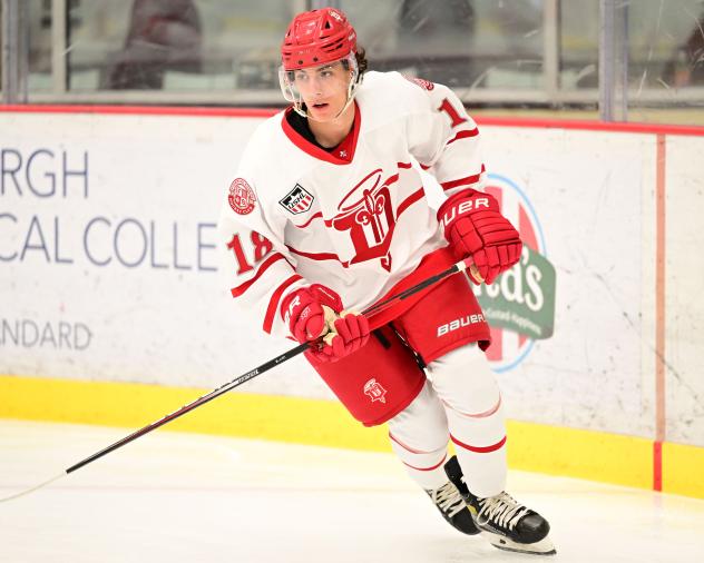 Forward Michael Burchill with the Dubuque Fighting Saints