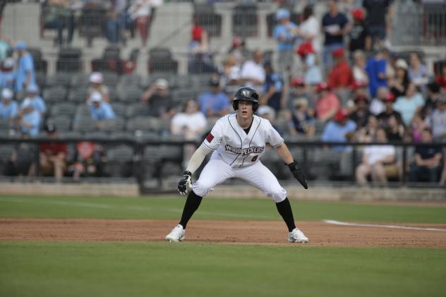 Fayetteville Woodpeckers on game night