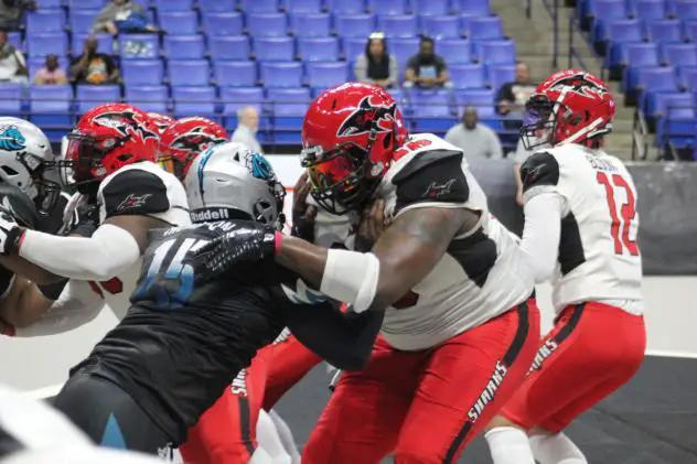 Jacksonville Sharks quarterback Conor Blount drops back