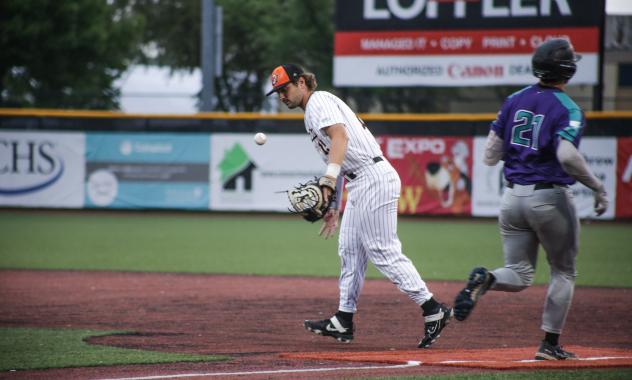 Mankato MoonDogs in action
