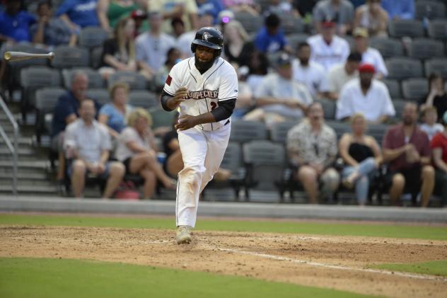 Fayetteville Woodpeckers in action