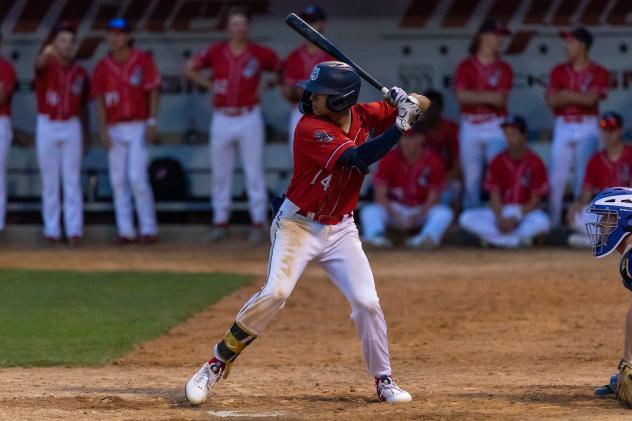 Kyle Jackson of the St. Cloud Rox