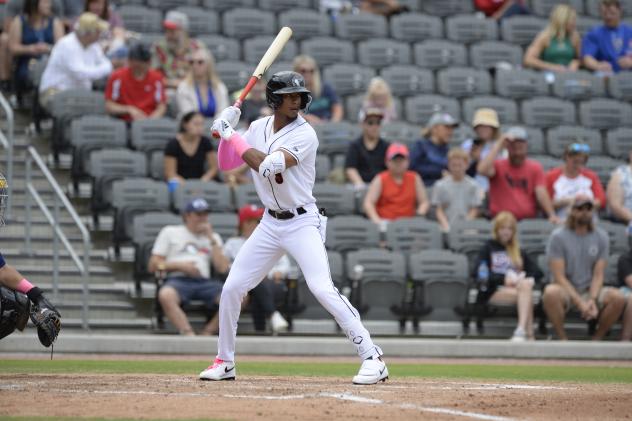 Fayetteville Woodpeckers at bat