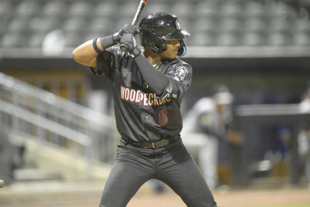 Fayetteville Woodpeckers' Brett Gillis at bat