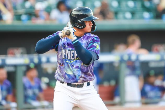 Columbia Fireflies' Dionmy Salon at bat