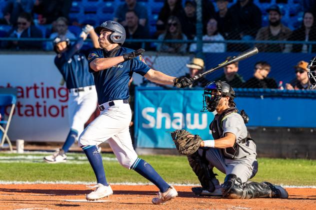 Victoria HarbourCats' Brandon Green at bat