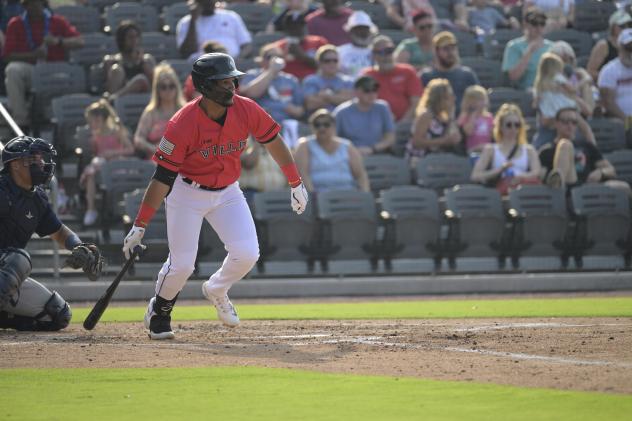 Fayetteville Woodpeckers at the plate