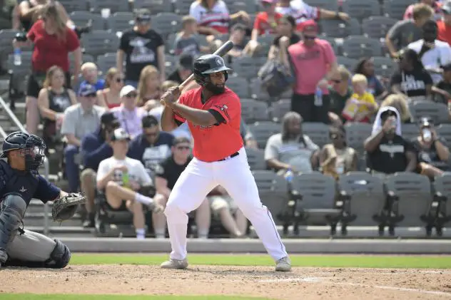 Fayetteville Woodpeckers at bat