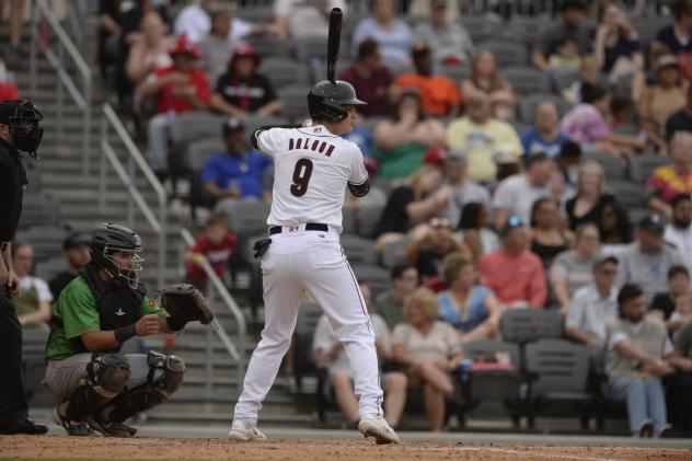 Fayetteville Woodpeckers' Ricardo Balogh at bat