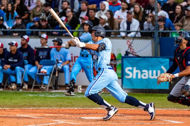 Victoria HarbourCats Dallas Macias at bat