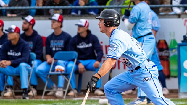 Victoria HarbourCats' Nick Dumesnil