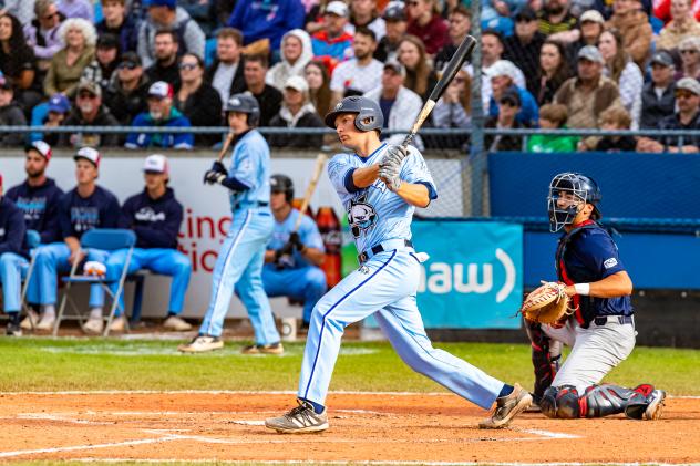 Victoria HarbourCats' Tyler Davis on game night