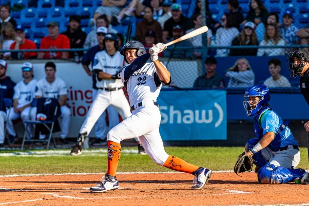 Victoria HarbourCats' Nick Dumesnil at bat