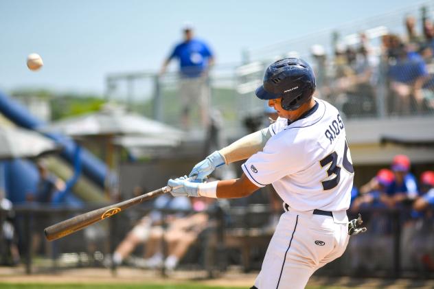 Fond du Lac Dock Spiders' Lorenzo Rios at bat