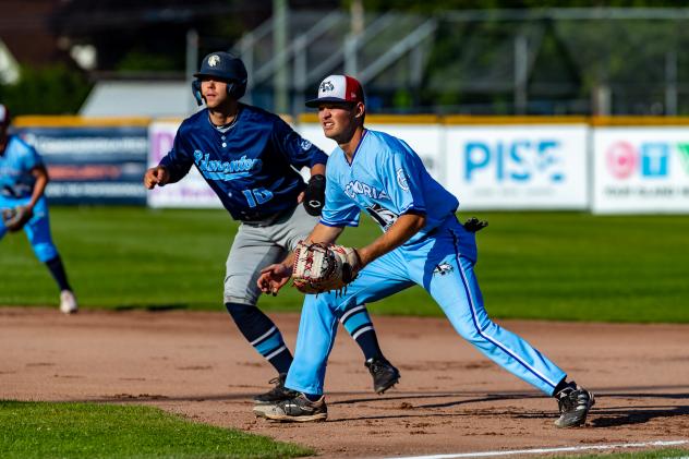 Victoria HarbourCats' Tyler Davis on game night