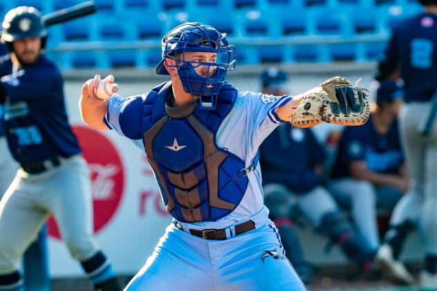 Victoria HarbourCats' Tripp Clark in action