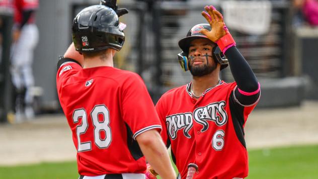 Carolina Mudcats outfielder Hedbert Perez receives congratulations at home