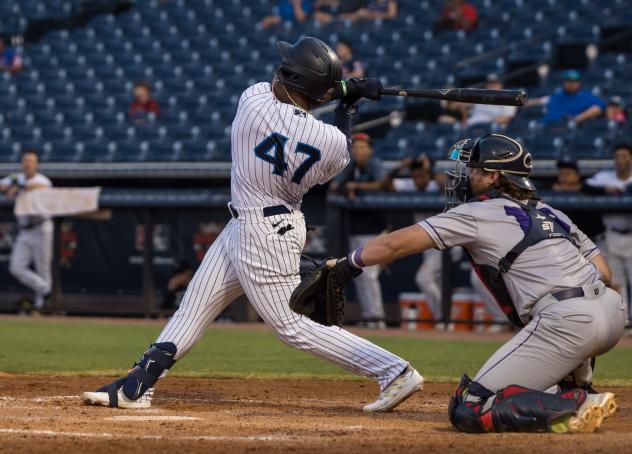 Tampa Tarpons' Christopher Familia at bat