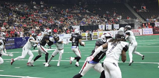 Jacksonville Sharks in action