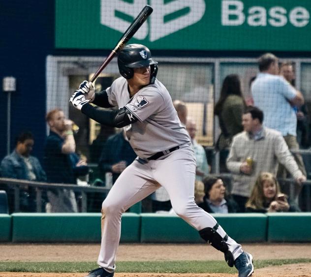 Somerset Patriots' Tyler Hardman at bat