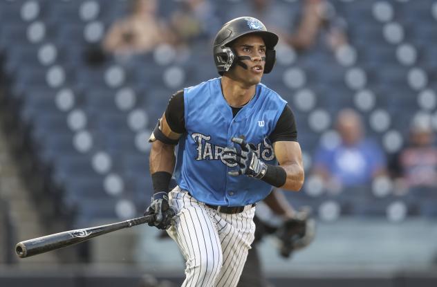 Tampa Tarpons on game night