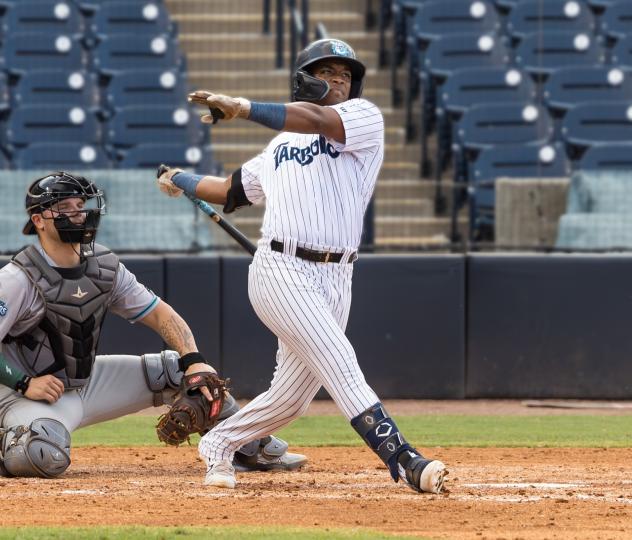 Tampa Tarpons at bat
