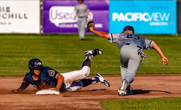 Victoria HarbourCats' Nick Dumesnil on game day