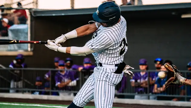 Northern Colorado Owlz at the plate