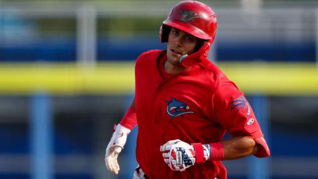 Clearwater Threshers catcher Ryan Leitch
